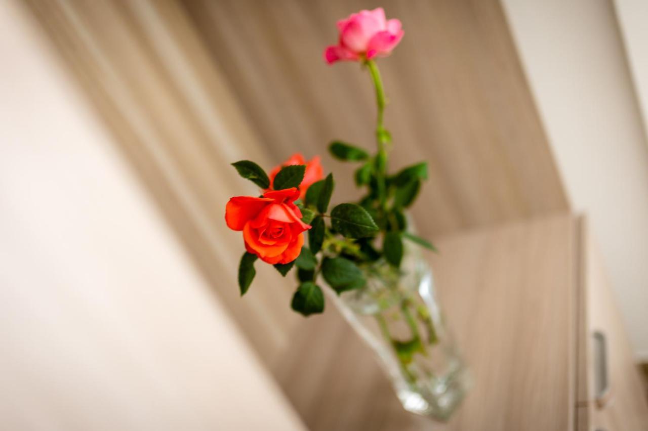 Le Calette Rooms - Puglia Mia Apartments モノーポリ エクステリア 写真